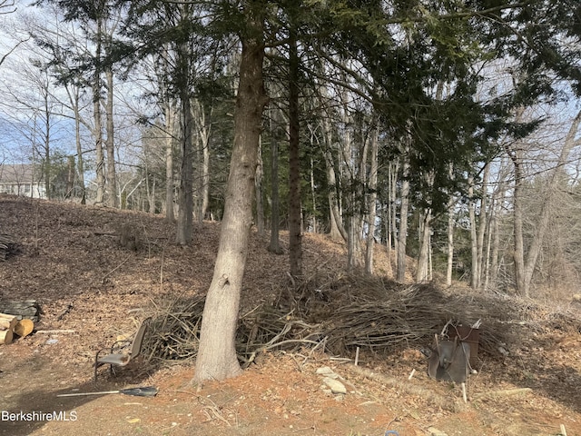 view of nature