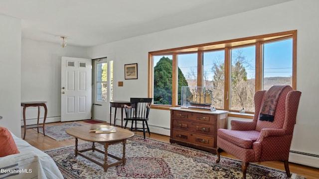 living room featuring a baseboard radiator and wood finished floors