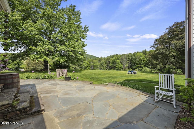 16 Glendale Middle Rd, Stockbridge, MA 01262 - view of patio with a wooded view