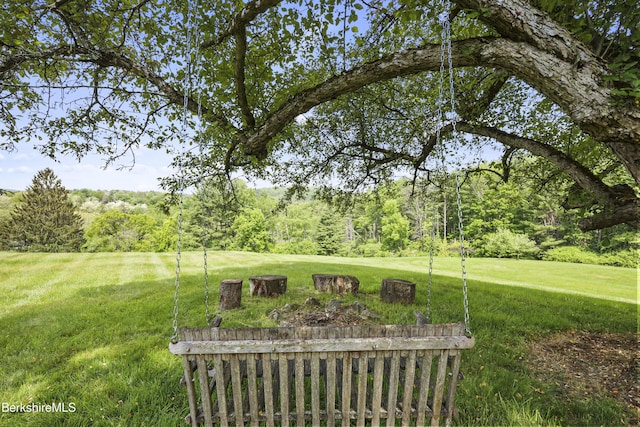 16 Glendale Middle Rd, Stockbridge, MA 01262 - view of grassy yard