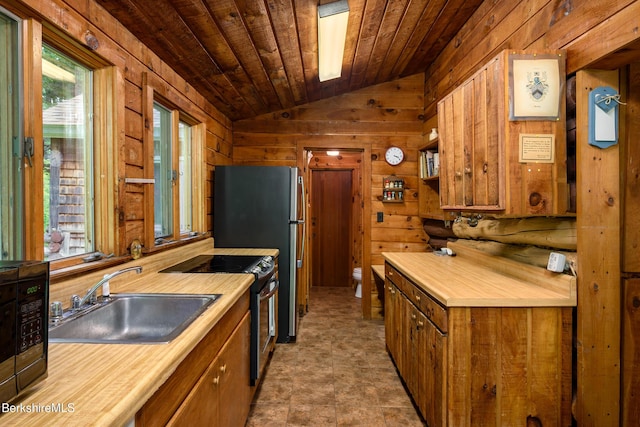 411 Bressett Rd, Williamstown, MA 01267 - kitchen with lofted ceiling, a sink, wooden walls, stainless steel appliances, and light countertops