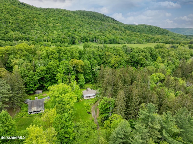 411 Bressett Rd, Williamstown, MA 01267 - mountain view featuring a heavily wooded area
