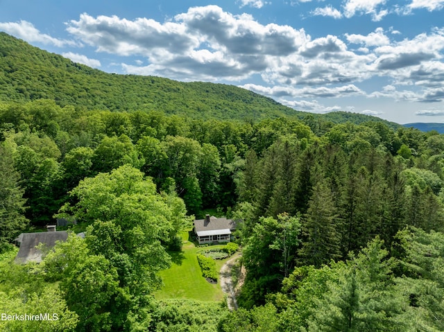 411 Bressett Rd, Williamstown, MA 01267 - mountain view featuring a heavily wooded area