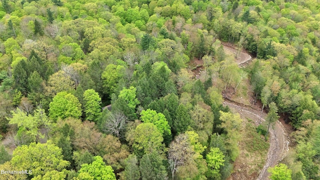 32 S Main Rd, Otis, MA 01253 - aerial view of property's location featuring a forest