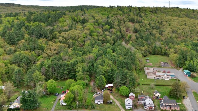 32 S Main Rd, Otis, MA 01253 - view of property location with a heavily wooded area