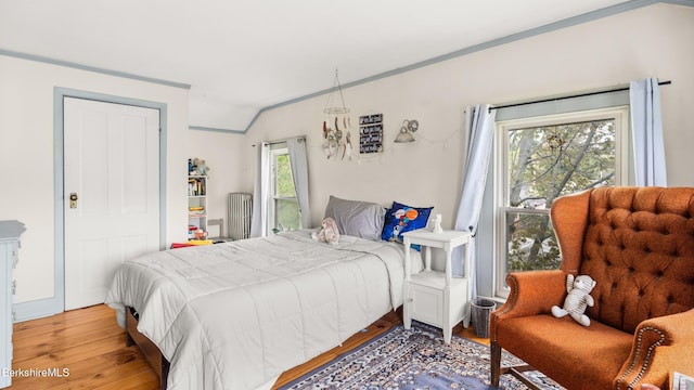 32 S Main Rd, Otis, MA 01253 - bedroom with wood finished floors, vaulted ceiling, and crown molding