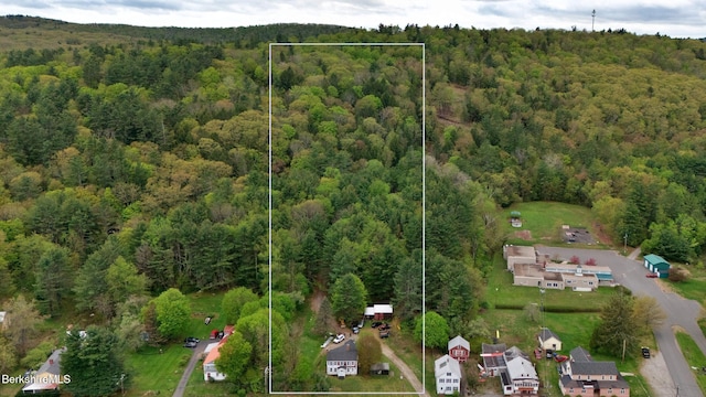 32 S Main Rd, Otis, MA 01253 - aerial overview of property's location with a forest and property parcel outlined