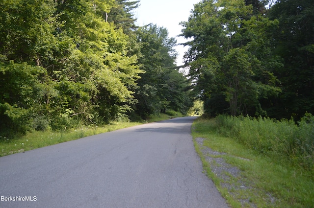 E Slope Rd, Richmond MA, 01254 land for sale