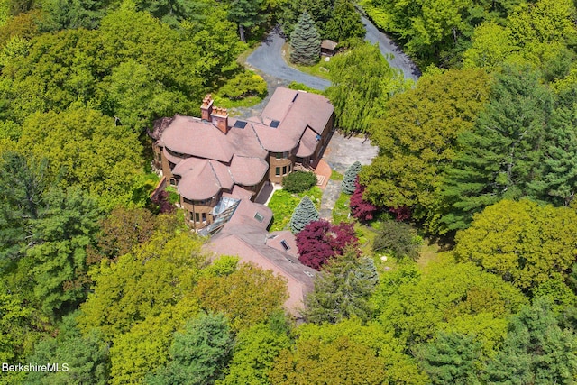 293 Sandisfield Rd, New Marlborough, MA 01230 - photo 66