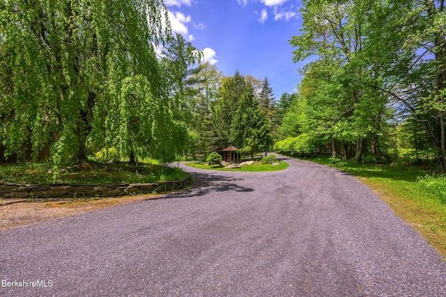 293 Sandisfield Rd, New Marlborough, MA 01230 - photo 5