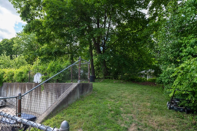 1057 Main St, Great Barrington, MA 01236 - view of yard