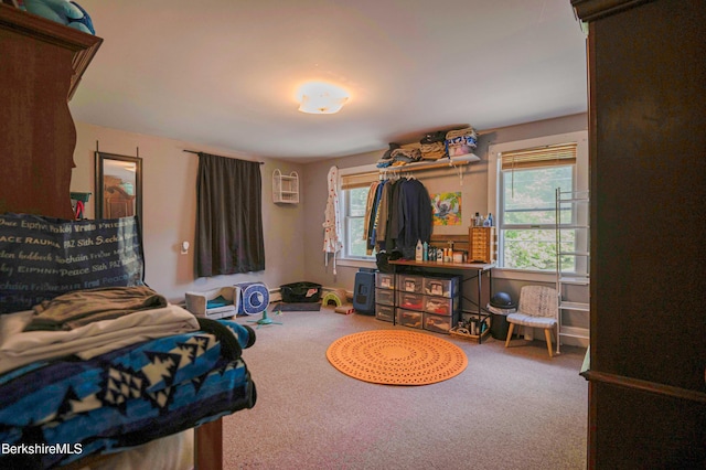 1057 Main St, Great Barrington, MA 01236 - bedroom featuring carpet flooring
