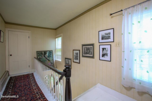 10 Alford Center Rd, Alford, MA 01230 - photo 14