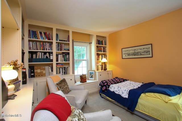 10 Alford Center Rd, Alford, MA 01230 - photo 13