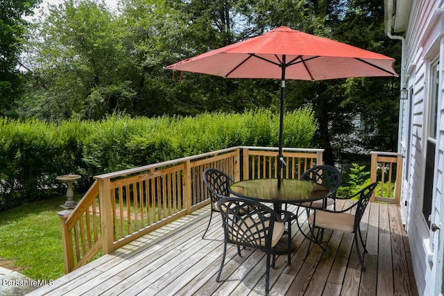 10 Alford Center Rd, Alford, MA 01230 - photo 22