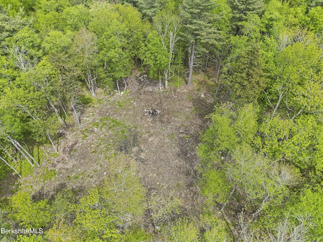 514 Fred Snow Rd, Becket, MA 01223 - view of local wilderness