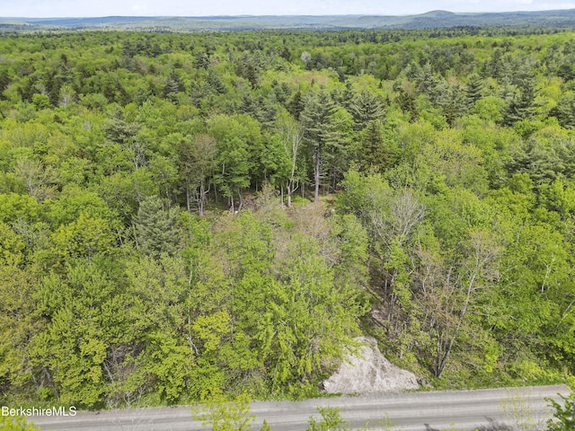 514 Fred Snow Rd, Becket, MA 01223 - drone / aerial view of a heavily wooded area