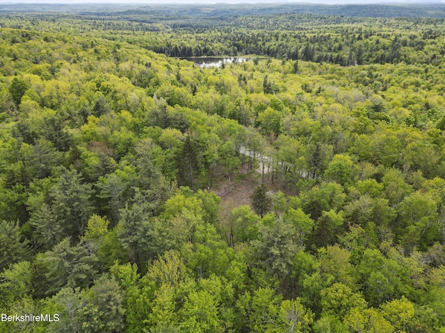 514 Fred Snow Rd, Becket, MA 01223 - bird's eye view of a heavily wooded area