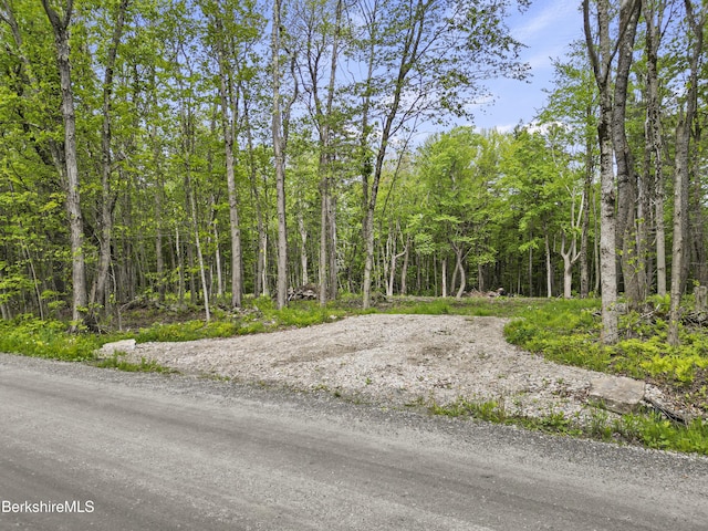 514 Fred Snow Rd, Becket, MA 01223 - view of woods