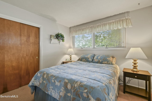 59 Joan Dr, Pittsfield, MA 01201 - photo 20