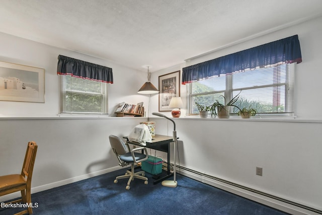 59 Joan Dr, Pittsfield, MA 01201 - photo 26