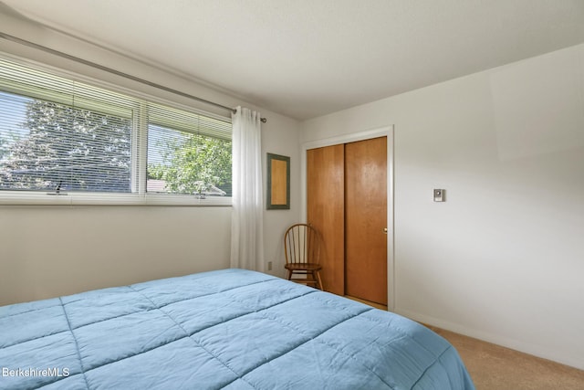 59 Joan Dr, Pittsfield, MA 01201 - photo 17