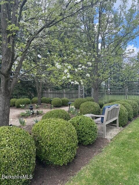 33 Maplewood Ave # 103, Pittsfield, MA 01201 - photo 29