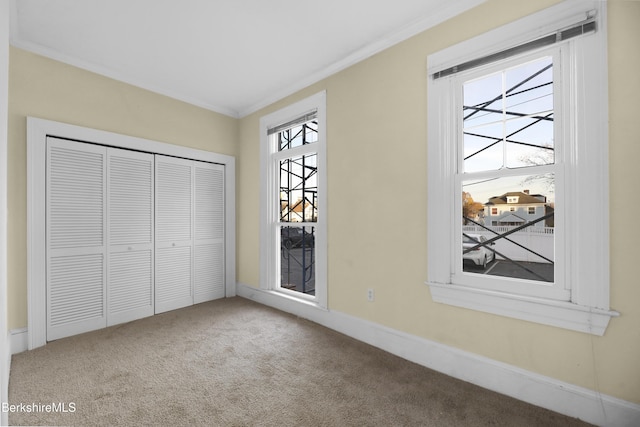 unfurnished bedroom featuring a closet, carpet floors, and ornamental molding