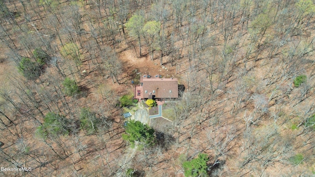 889 George Carter Rd, Becket, MA 01223 - view from above of property