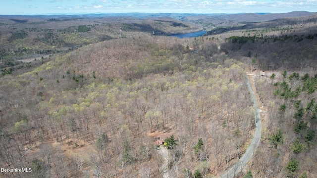 889 George Carter Rd, Becket, MA 01223 - aerial overview of property's location with a forest and a water and mountain view