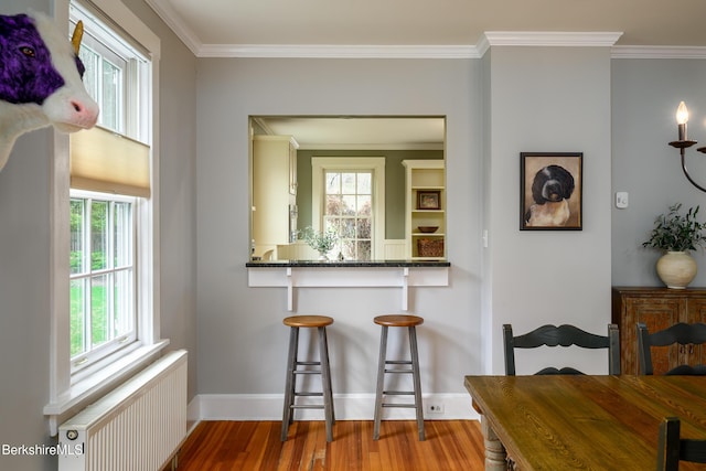 interior space with radiator, a wealth of natural light, wood finished floors, and a kitchen bar
