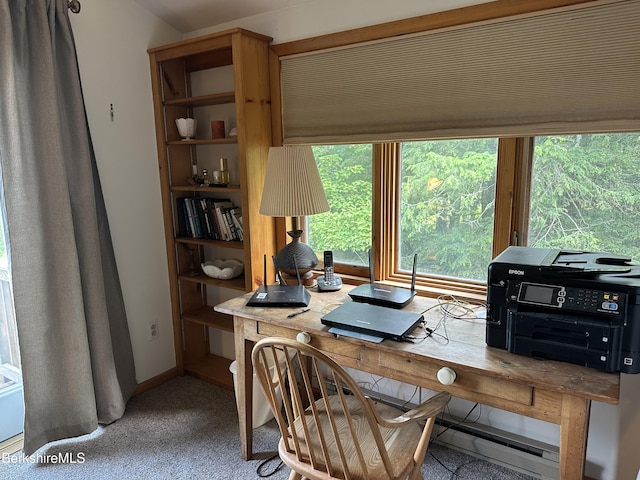 308 Shaker Ridge Dr, Canaan, NY 12029 - photo 35
