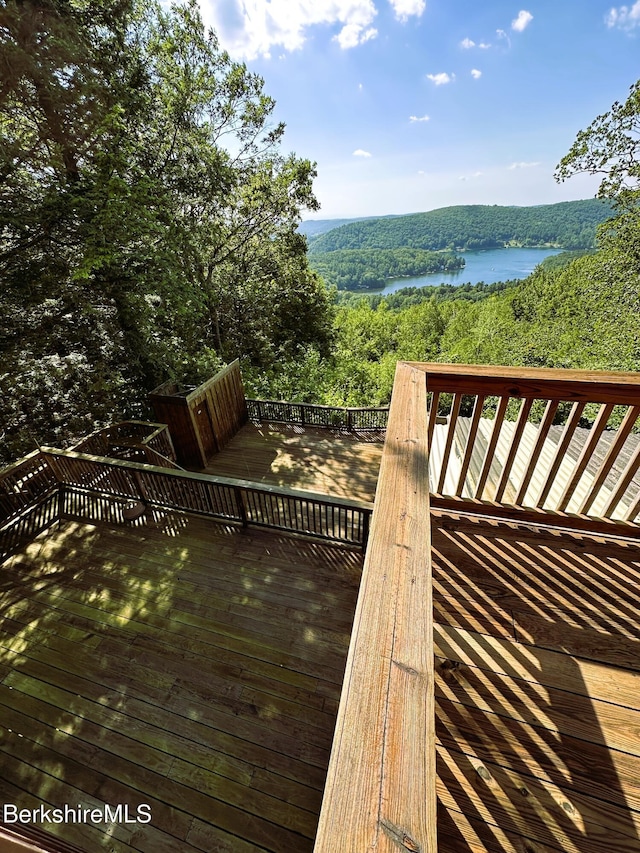 308 Shaker Ridge Dr, Canaan, NY 12029 - photo 38