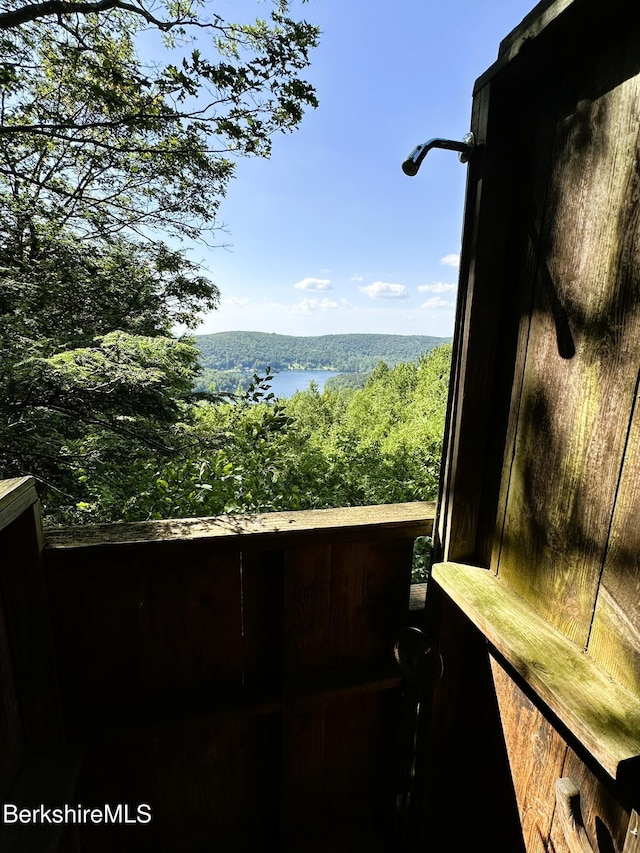 308 Shaker Ridge Dr, Canaan, NY 12029 - photo 22