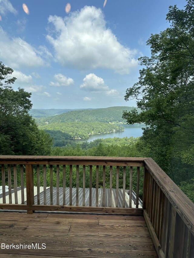 308 Shaker Ridge Dr, Canaan, NY 12029 - photo 37