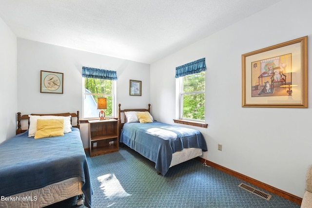 191 Moreau Rd, Tolland, MA 01034 - bedroom with multiple windows and carpet