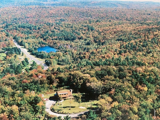 359 Jacobs Ladder Rd, Becket, MA 01223 - photo 5