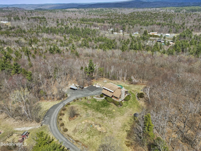 359 Jacobs Ladder Rd, Becket, MA 01223 - photo 45