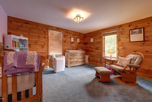 359 Jacobs Ladder Rd, Becket, MA 01223 - photo 21