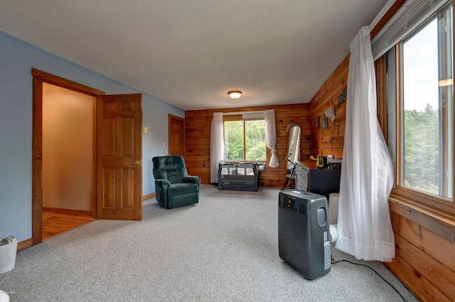 359 Jacobs Ladder Rd, Becket, MA 01223 - photo 34