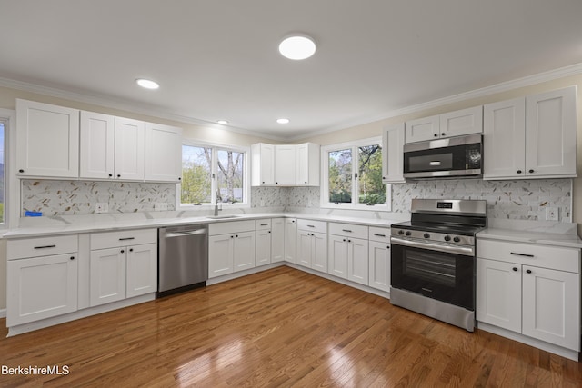 149 Wilshire Dr, Cheshire, MA 01225 - kitchen featuring light wood-style flooring, a sink, stainless steel appliances, decorative backsplash, and ornamental molding