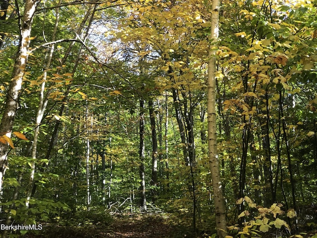 0 Andrea Dr, Stamford, VT 05352