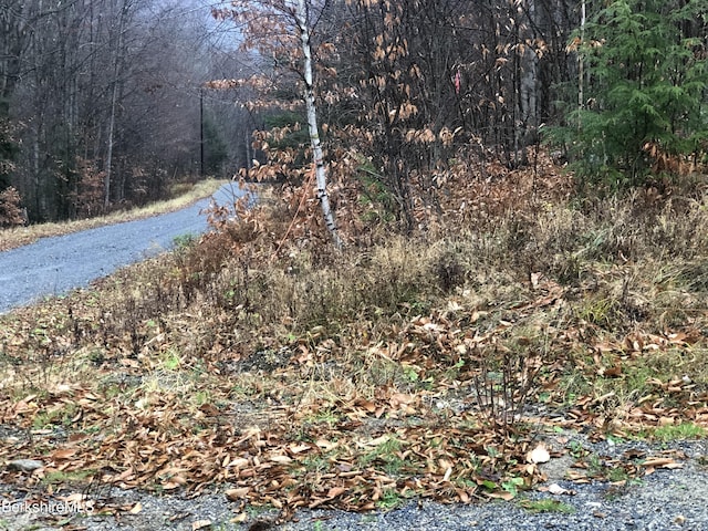 0 Andrea Dr, Stamford, VT 05352