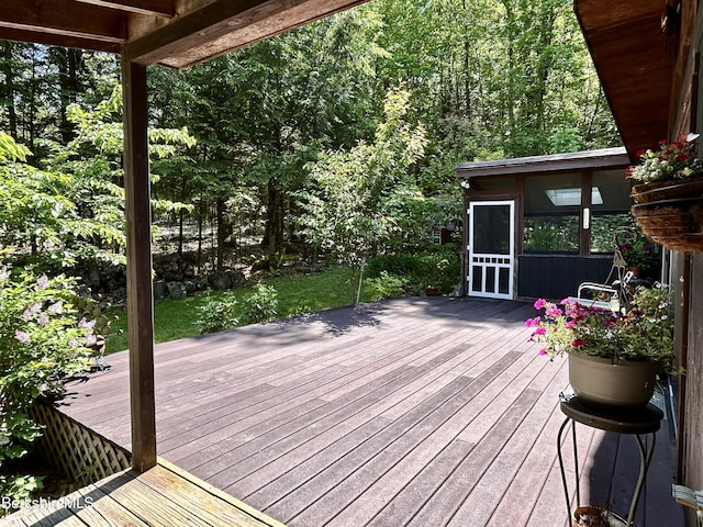 305 Shadow Ln, Sandisfield, MA 01255 - view of deck
