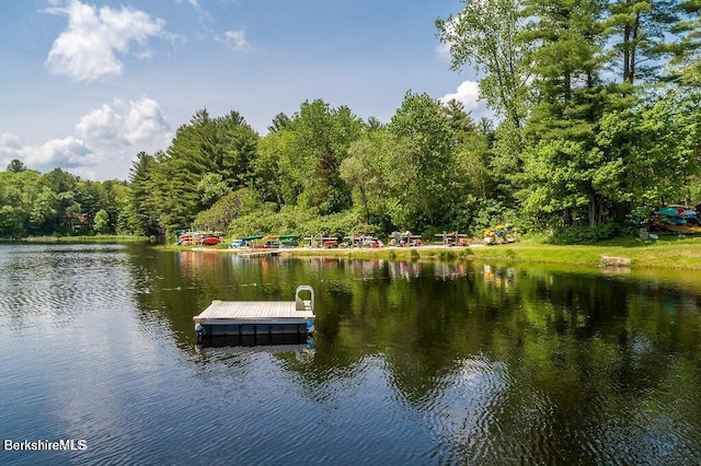 dock area with a wooded view and a water view