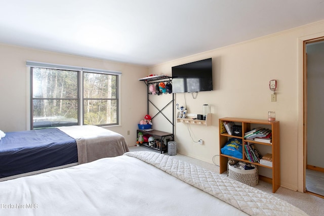 305 Shadow Ln, Sandisfield, MA 01255 - bedroom with carpet and baseboards