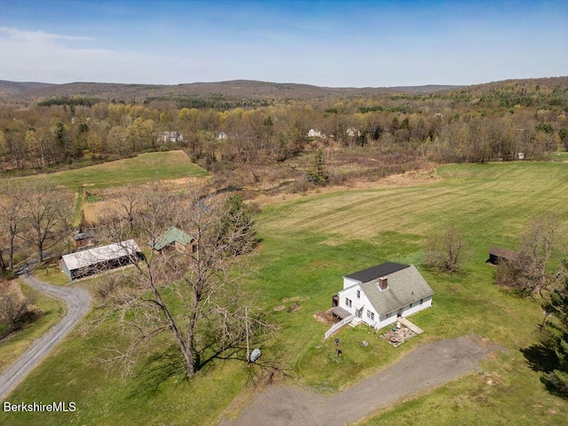 45 Swamp Rd, West Stockbridge, MA 01266 - photo 55