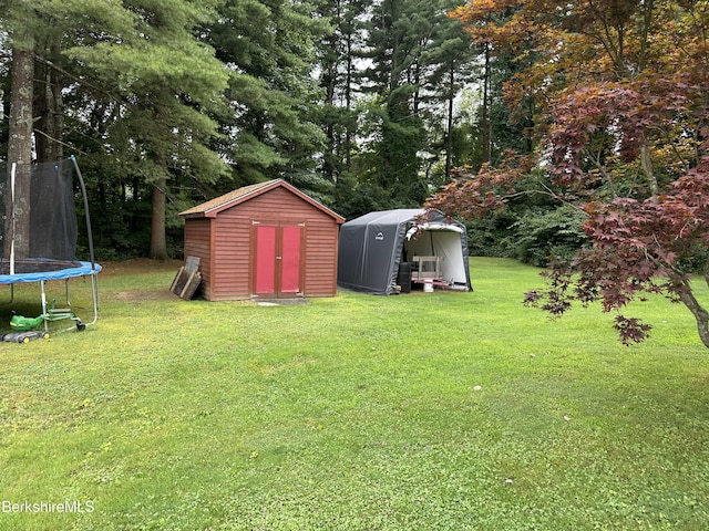 view of yard with a storage shed and a trampoline