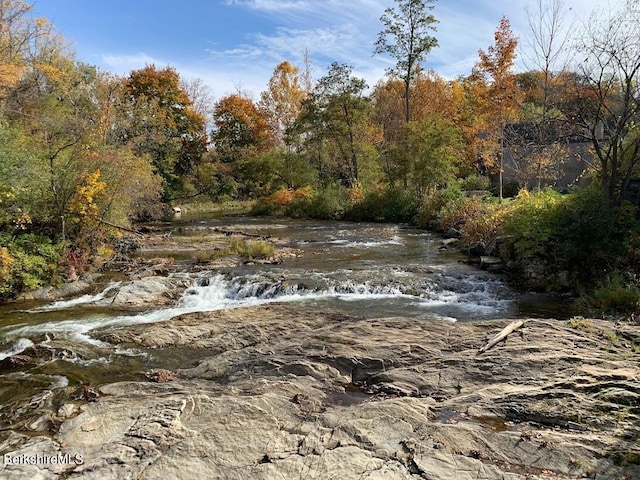 view of nature