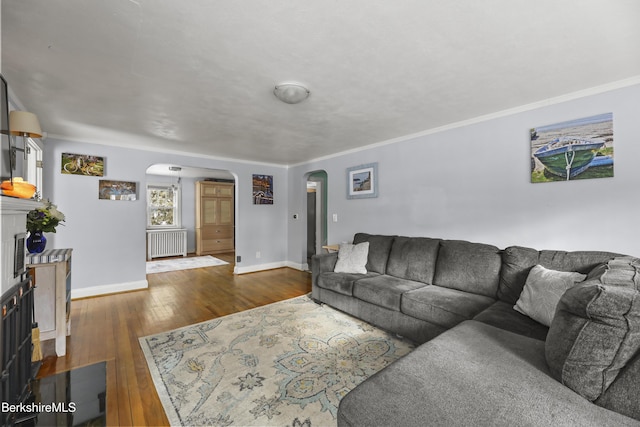 living room featuring crown molding, radiator, and dark wood-type flooring